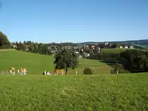 Schwarzwald,
Blick auf St.M�rgen
2008