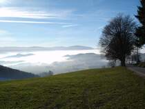 Schwarzwald bei St.Peter,
typische Sp�therbstwitterung,
unten tagelang Nebel,oben strahlender Sonnenschein,
2006