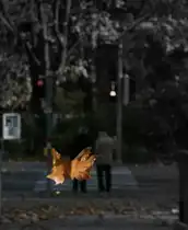 Herbstzeit
(November 2009)