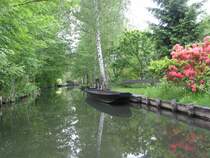 Ruhender Kahn im Spreewald bei L�bbenau
