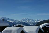 Gipfeltreffen der etwas anderen Art...
(Januar 2009)