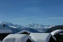 Gipfeltreffen der etwas anderen Art...
(Januar 2009)