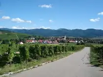 Blick auf Kirchhofen,
Weinort im Markgr�flerland,
Juli 2007 