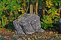 Baumscheibchen, �brig geblieben bei Baumf�llarbeiten