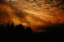 Ein Sonnenaufgang im Hochsauerland (Winterberg), aufgenommen im Winter 1969.