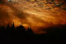 Ein Sonnenaufgang im Hochsauerland (Winterberg), aufgenommen im Winter 1969.