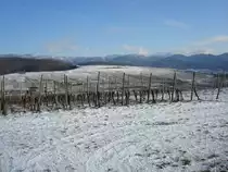 Blick vom Batzenberg/Markgr�flerland
Richtung Pfaffenweiler und Schwarzwald,
2009