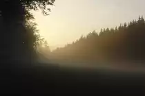 Nebel zieht auf und die letzten Sonnenstrahlen fallen herein. Waldlichtung an der B303,in der N�he von Go�mannsdorf