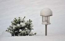 Seltener Anblick in der Voreifel/K�lner Bucht. Der Schnee hielt auch nur 2 Tage. 19.12.2009