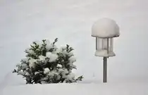 Seltener Anblick in der Voreifel/K�lner Bucht. Der Schnee hielt auch nur 2 Tage. 19.12.2009