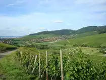 Markgr�flerland,
Blick auf Ebringen,im Hintergrund Freiburg,
2008