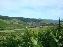 Markgr�flerland,
Blick ins Schneckental und auf Pfaffenweiler,
2008