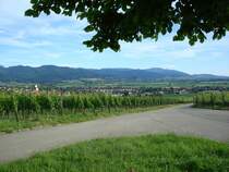 Markgr�flerland,
Blick in Richtung Staufen und den Schwarzwald,
2008 