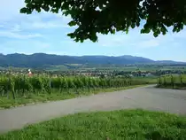 Markgr�flerland,
Blick in Richtung Staufen und den Schwarzwald,
2008 