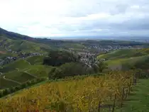 Blick auf die herbstlichen Weinberge 
bei Durbach/Ortenau,

