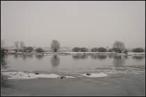 Bei tr�ben und diesigem Wetter ein Spaziergang entlang der Oder. Auf der anderen Seite ist Polen (b. Eisenh�ttenstadt, 24.12.2009)