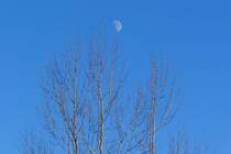 Halbmond am Tag,aufgenommen am 26.12.2009