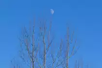 Halbmond am Tag,aufgenommen am 26.12.2009