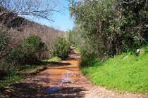 QUERENÇA, 13.02.2010, auf dem Weg zur Fonte Benémola