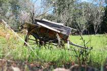 QUERENÇA, 13.02.2010, auf dem Weg zur Fonte Benémola