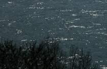 Viele kleine funkelnde Punkte zeigen das die Sonne strahlt.
(18.03.2010)