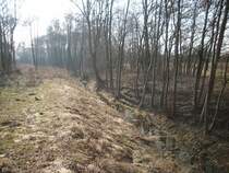 Alles erweckt wieder aus dem Winterschlaf und die Sonne scheint immer krftiger.