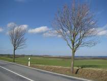 Blick ber die Wohlenberger Wiek von der Hhe bei Oberhof an der Strae Christinenfeld - Wohlenberg zur Weien Wiek, 23.03.2010