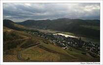 Blick aus den Weinbergen oberhalb von Neef auf die Mosel und die Staustufe St. Aldegund.