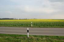 Das ist in diesem Jahr das erste blhende Rapsfeld das ich sah. Es liegt zwischen Drseln und Odenkirchen/Kamphausener Hhe. 19.4.2010