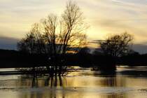 berschwemmter Wiesengrund bei Frickendorf am 27.2.2010