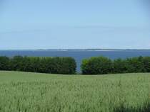 Blick von der L 01 bei Wohlenberg (NWM) zur Wohlenberger Wiek (Ostsee) 22.06.2010