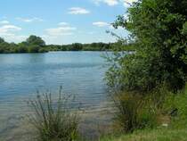Der Mu�riedesee bei Nienburg.