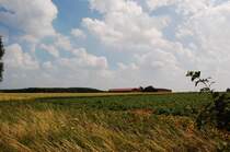 Wolken treiben �ber's leicht h�gelige Land, die Sonne zwinkert zwischen Ihnen hindurch. Hei� weht der Sommerwind �ber die trockene Erde, �ber Felder, Wiesen und W�lder. Niederrhein wie bist du sch�n. 4.7.2010