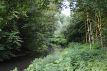 Die M�hlenau (Rellau), in 25421 Pinnebrg/Hamburg, am 18.07.10.