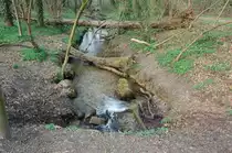 Aus dieser Quelle s�mpft Rheinbraun. Der Trietbach wird hier mit Wasser aus dem Tagebau Garzweiler II gespeist um den Bruchwald zu erhalten.