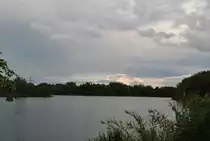 Fischteich bei Lehrte/Steinwedel. Foto vom 16.08.10.