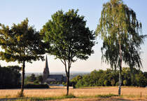 3 Laubb�ume am Wegesrand mit  Durchblick  auf die Kirche von Euskirchen-Billig - 24.07.2010