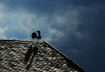 Der Wetterhahn beobachtet die dunklen Wolken.
(15.08.2010)