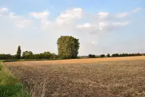 Feld bei Lehrte, am 21.08.2010.
