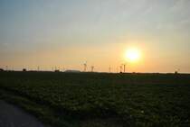 Sehr tiefstehnde Sonne in Lehrte. Foto vom 21.08.10.