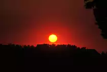 10 Minuten sp�ter ist die Sonnen schon fast hinter einen Wald verschwunden. Foto vom 21.08.10, im Lehrte.