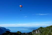 Grenzenlose Freiheit
(26.08.2010)