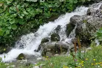 Gebirgsbach in der  Eng  bei Mittenwald ( Juli 2010 )