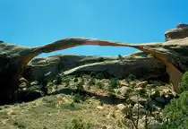 Der Landscape Arch im Arches National Park spannt sich elegant zwischen zwei Felsen. Es soll sich bei diesem Bogen um den l�ngsten nat�rlichen Steinbogen der Welt handeln. Er hat eine Spannweite von 88,4 Metern. Ein Betreten des Gesteinsbogen wurde vor einigen Jahren untersagt, da man den Einsturz des Bogens bef�rchtet. Juli 1998