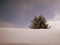 Winterruhe!
(28.01.2009)