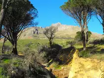 Der Devills Peak mal aus einer anderen Sicht. De Waal Drive Kapstadt. 13.06.2010
