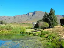 Kapteins Kloof, Geelhoutboom Farm. Kapteins Kloof, 16.03.2010