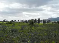 Arabella Country Estate. Kleinmomd, 26.10.2009
