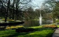 Tulpenbl�te 1990 im Keukenhof in den Niederlanden