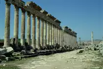 Im April 1992 besuchte ich die Oase Palmyra in Syrien. Sie lag an einer Karawanenstrasse von Damaskus an den Euphrat